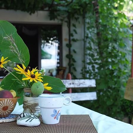 Hikers Hostel Veliko Tarnovo Extérieur photo